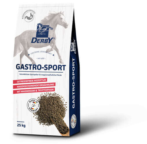 bild seo text gastro sport